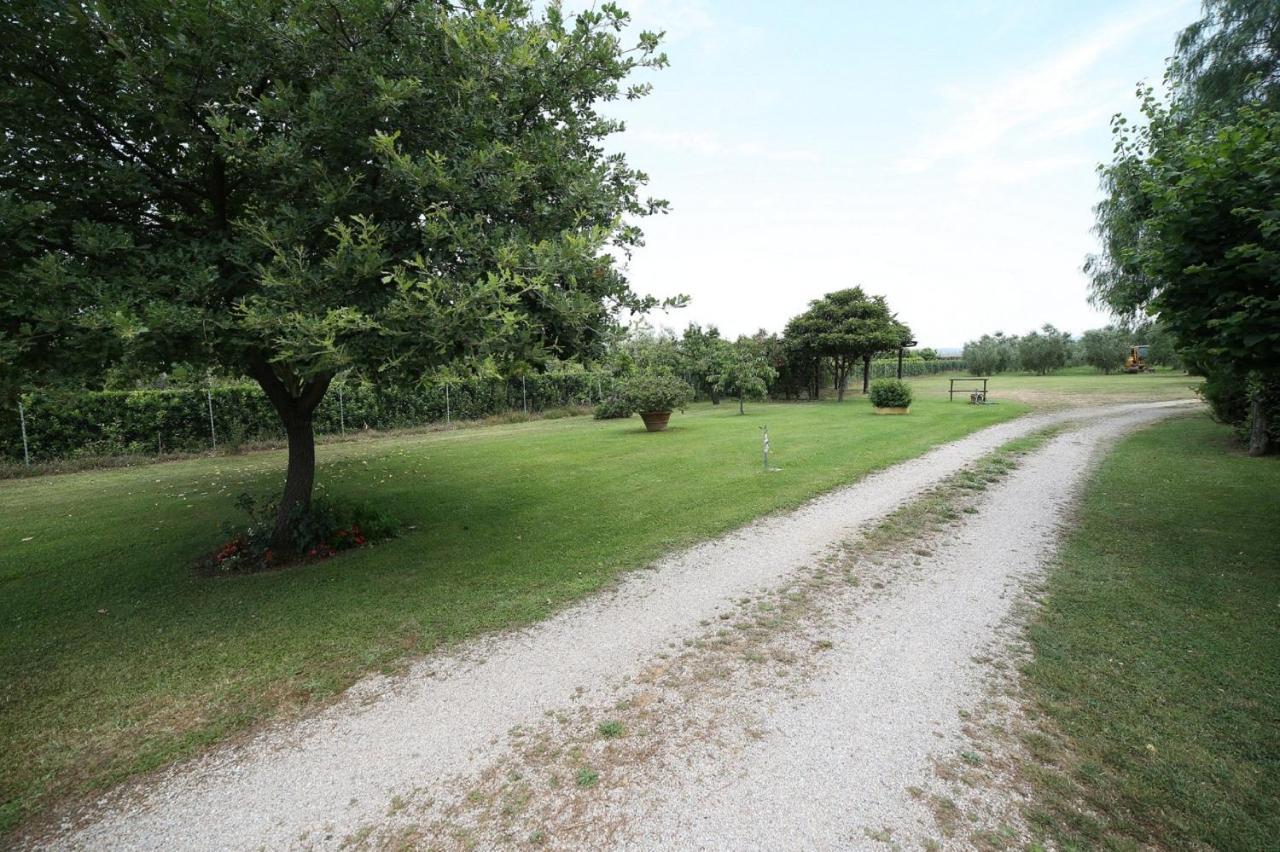 Podere Serena Кастаньето-Кардуччи Экстерьер фото